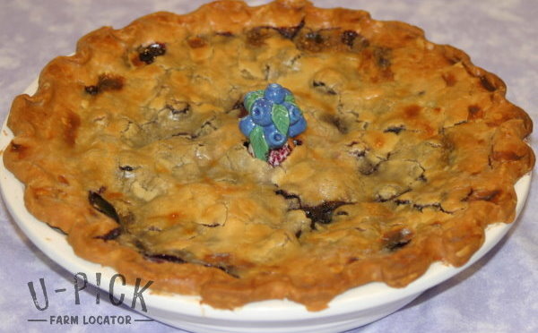 National Blueberry Pie Day April 28