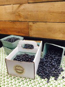 Youngman Family Farm Westville Oklahoma You Pick Blueberries Blackberries | upickfarmlocator.com
