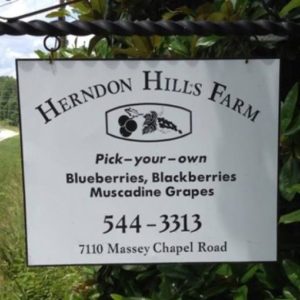 Herndon Hills Farm Durham North Carolina U-Pick | upickfarmlocator.com