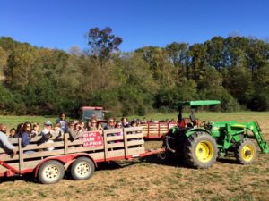 Red Apple Barn, Ellijay, Georgia | upickfarmlocator.com