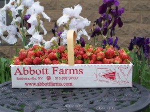 Abbott Farms Baldwinsville New York U-Pick Orchard | upickfarmlocator.com