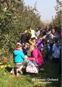 All Season's Orchard Apple Picking Field Trip | upickfarmlocator.com