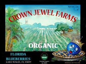 Crown Jewel Farms Lake Wales Florida You Pick Blueberries | upickfarmlocator.com