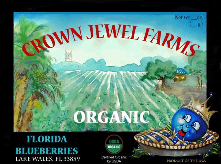 Crown Jewel Farms Lake Wales Florida You Pick Blueberries | upickfarmlocator.com