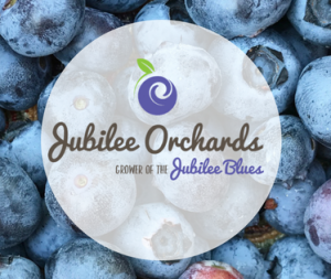 Jubilee Orchards Tallahassee Florida U-Pick Blueberries | upickfarmlocator.com