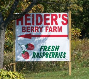 Heiders Berry Farm Woodstock Illinois upick berries | upickfarmlocator.com