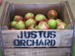 Justus Orchard Hendersonville North Carolina U-Pick Apples | upickfarmlocator.com