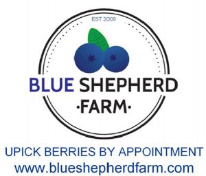 Blue Shepherd Farm Rocheport Missouri U-Pick Blueberries