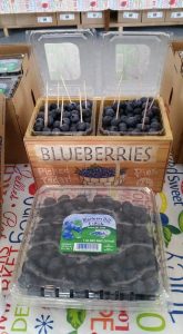 Blueberry Hill U-Pick Sanford North Carolina you pick blueberries | upickfarmlocator.com