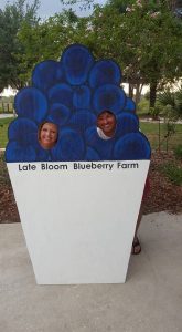 Late Bloom Blueberry Farm Haines City Florida U-Pick Blueberries | upickfarmlocator.com