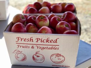 Hooper's Orchard Monroe Maine U-Pick Apples | upicfarmlocator.com