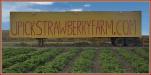 upickstrawberryfarm.com Deforest Wisconsin u-pick strawberries | upickfarmlocator.com