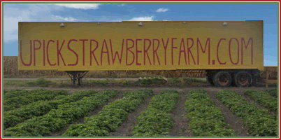 upickstrawberryfarm.com Deforest Wisconsin u-pick strawberries | upickfarmlocator.com