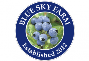 Blue Sky Farm Monticello Florida U pick blueberries | upickfarmlocator.com