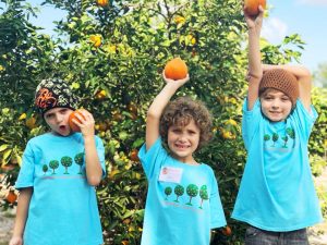 Dooley Groves Ruskin Florida U-Pick Oranges | upickfarmlocator.com