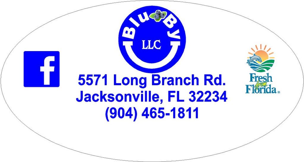 Blu By U Blueberry Farm Jacksonville Florida u-pick blueberries | upickfarmlocator.com