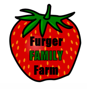Furger Family Farm Lodi Wisconsin u-pick strawberries | upickfarmlocator.com